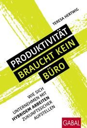 Produktivität braucht kein Büro Hertwig, Teresa 9783967390896