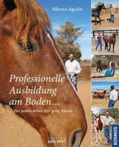 Professionelle Ausbildung am Boden Aguilar, Alfonso 9783440145173