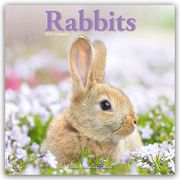 Rabbits - Kaninchen 2025 - 16-Monatskalender  9781804604489