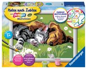 Ravensburger CreArt 28015 - Tiefer Schlaf - Malen nach Zahlen Hund und Katze für Kinder ab 7 Jahre  4005556280155