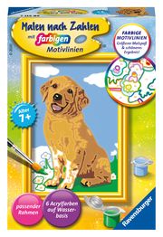 Ravensburger CreArt 28511 - Kleiner Golden Retriever - Malen nach Zahlen Hund für Kinder ab 7 Jahre  4005556285112