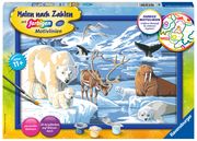 Ravensburger CreArt 28909 - Tiere der Arktis - Malen nach Zahlen für Kinder ab 11 Jahren  4005556289097