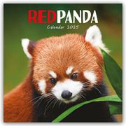 Red Panda - Rote Pandas - Rote Pandabären 2025 - Wand-Kalender  9781529845365