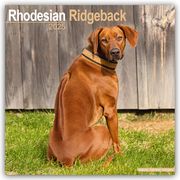 Rhodesian Ridgeback - Afrikanischer Löwenhund 2025 - 16-Monatskalender  9781804603802
