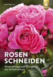 Rosen schneiden Hübscher, Heiko 9783818622718