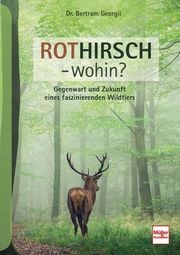 Rothirsch - wohin? Georgii, Bertram 9783275022663