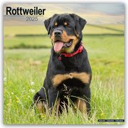 Rottweiler - Rottweiler 2025 - 16-Monatskalender  9781804603819