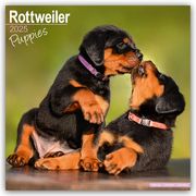 Rottweiler Puppies - Rottweiler Welpen 2025 - 16-Monatskalender  9781804604090