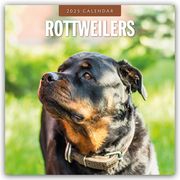 Rottweilers - Rottweiler 2025 - 16-Monatskalender  9781804425022