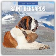 Saint Bernards - Bernhardiner 2025 - 16-Monatskalender  9781804425039