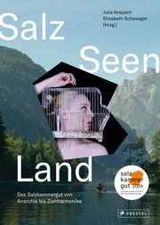 Salz Seen Land Julia Kospach/Elisabeth Schweeger 9783791380162