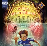 Schule der Meisterdiebe - Das vergessene Labyrinth Arcanjo, J J 9783966320894