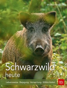 Schwarzwild heute Hespeler, Bruno 9783835418028
