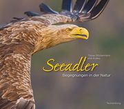 Seeadler Böckermann, Tobias/Rolfes, Willi 9783944327921