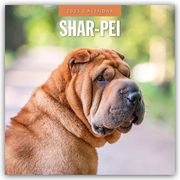 Shar-Pei - Chinesischer Faltenhund 2025 - 16-Monatskalender  9781804425084