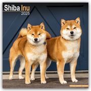 Shiba Inu 2025 - 16-Monatskalender  9781804603901