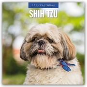 Shih Tzu 2025 - 16-Monatskalender  9781804425114