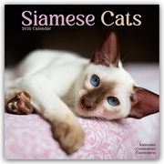 Siamese Cats - Siam-Katzen 2025 - 16-Monatskalender  9781804604267