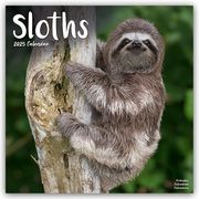 Sloths - Faultiere 2025 - 16-Monatskalender  9781804604519