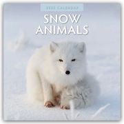 Snow Animals - Arktische Tiere 2025 - 16-Monatskalender  9781804424117