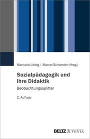 Sozialpädagogik und ihre Didaktik Manuela Liebig/Marcel Schweder 9783779972204