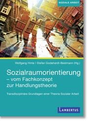 Sozialraumorientierung - vom Fachkonzept zur Handlungstheorie Wolfgang Hinte/Stefan Godehardt-Bestmann 9783784136127