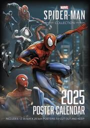 Spider-Man 2025 Wandkalender 30 x 42 cm  9781804231753