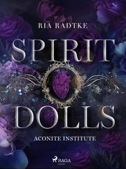 Spirit Dolls 1 Radtke, Ria 9783987500169