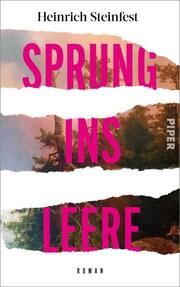 Sprung ins Leere Steinfest, Heinrich 9783492072151