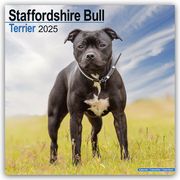 Staffordshire Bull Terrier - Staffordshire Bull Terrier 2025 - 16-Monatskalender  9781804603932