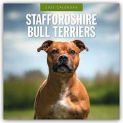 Staffordshire Bull Terriers - Staffordshire Bullterrier 2025 - 16-Monatskalender  9781804425152