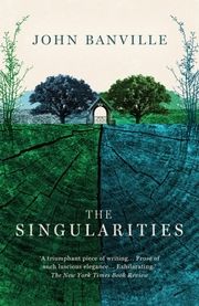 The Singularities Banville, John 9781800753365