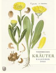 Thorbeckes Kräuter-Kalender 2025  9783799519809