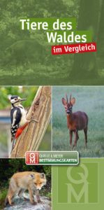 Tiere des Waldes im Vergleich Quelle & Meyer Verlag 9783494018676