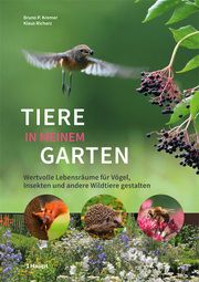 Tiere in meinem Garten Kremer, Bruno P/Richarz, Klaus 9783258081557