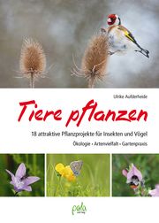 Tiere pflanzen Aufderheide, Ulrike 9783895663888