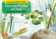Tiere und Pflanzen am Teich Stöckl-Bauer, Katharina 4260179515736
