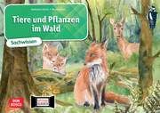 Tiere und Pflanzen im Wald Stöckl-Bauer, Katharina 4260179517617