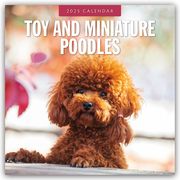 Toy and Miniature Poodles - Zwergpudel 2025 - 16-Monatskalender  9781804425176
