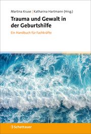 Trauma und Gewalt in der Geburtshilfe Martina Kruse/Katharina Hartmann 9783608400861