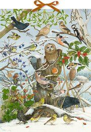 Unsere Vögel im Winter - Sound-Adventskalender Henkel, Christine 4050003952505