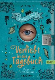 Verliebt in ein Tagebuch - Fayes Geheimnis Arold, Marliese 9783961292400