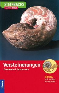 Versteinerungen Lichter, Gerhard 9783800142989