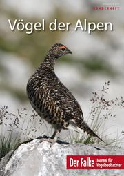 Vögel der Alpen Redaktion Der Falke 9783891048504
