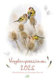 Vogelimpressionen 2025 Schmidt, Christopher 9783895664373