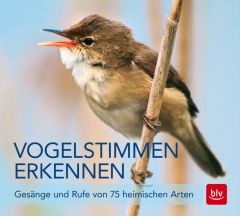 Vogelstimmen erkennen Schulze, Andreas 9783835416208