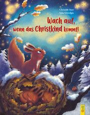 Wach auf, wenn das Christkind kommt! Auer, Christine 9783707425833