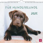 Wandkalender 2025: Für Hundefreunde  4036442011867