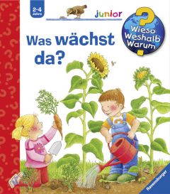 Was wächst da? Droop, Constanza 9783473327768