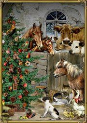 Weihnacht im Stall Behr, Barbara 4050003718910
